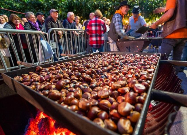 Fete des Chatiagner, Antibes